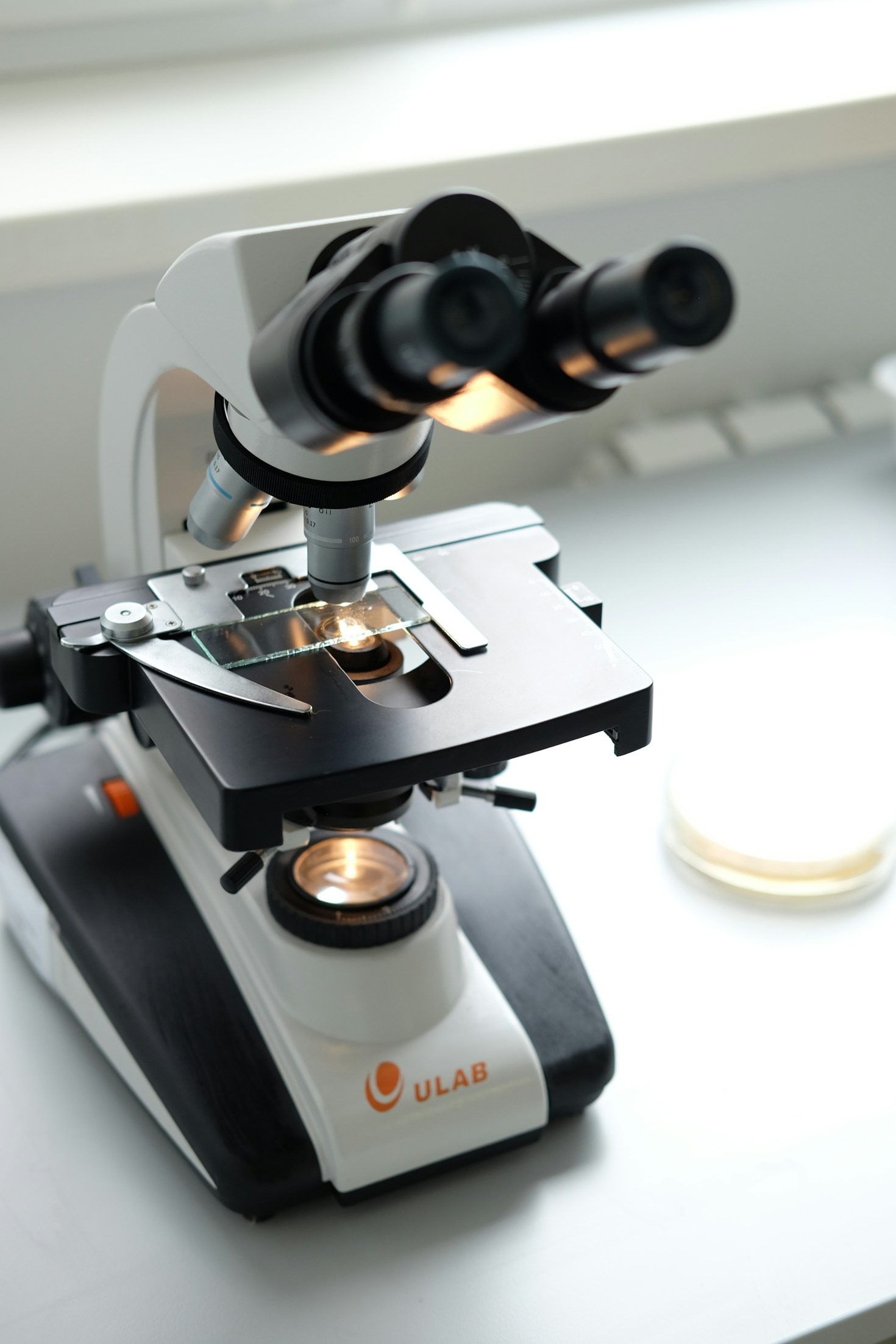 Welcome to the magazine’s English-language website